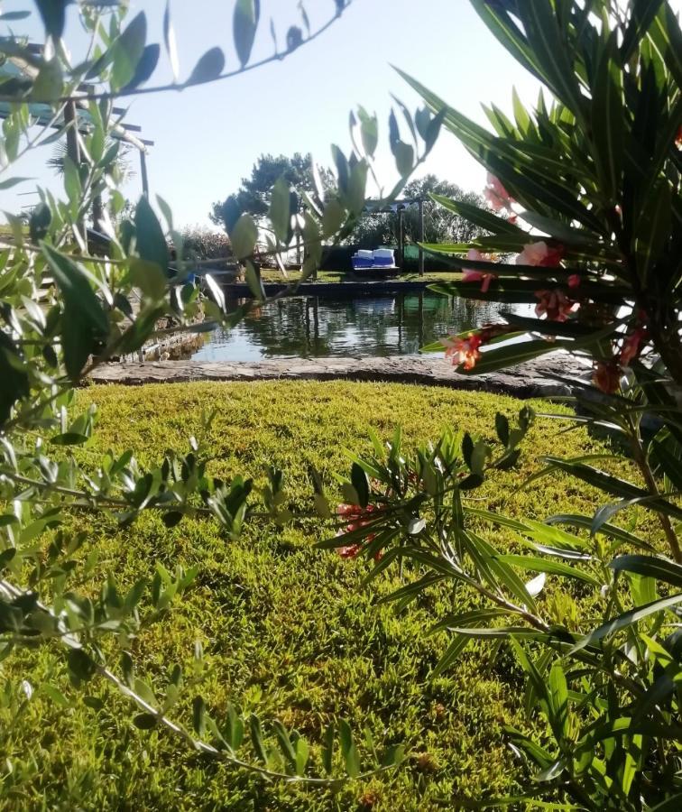 Casa Do Moleiro Villa Santiago do Cacem Ngoại thất bức ảnh